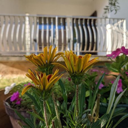 באסקה Apartment Ika מראה חיצוני תמונה