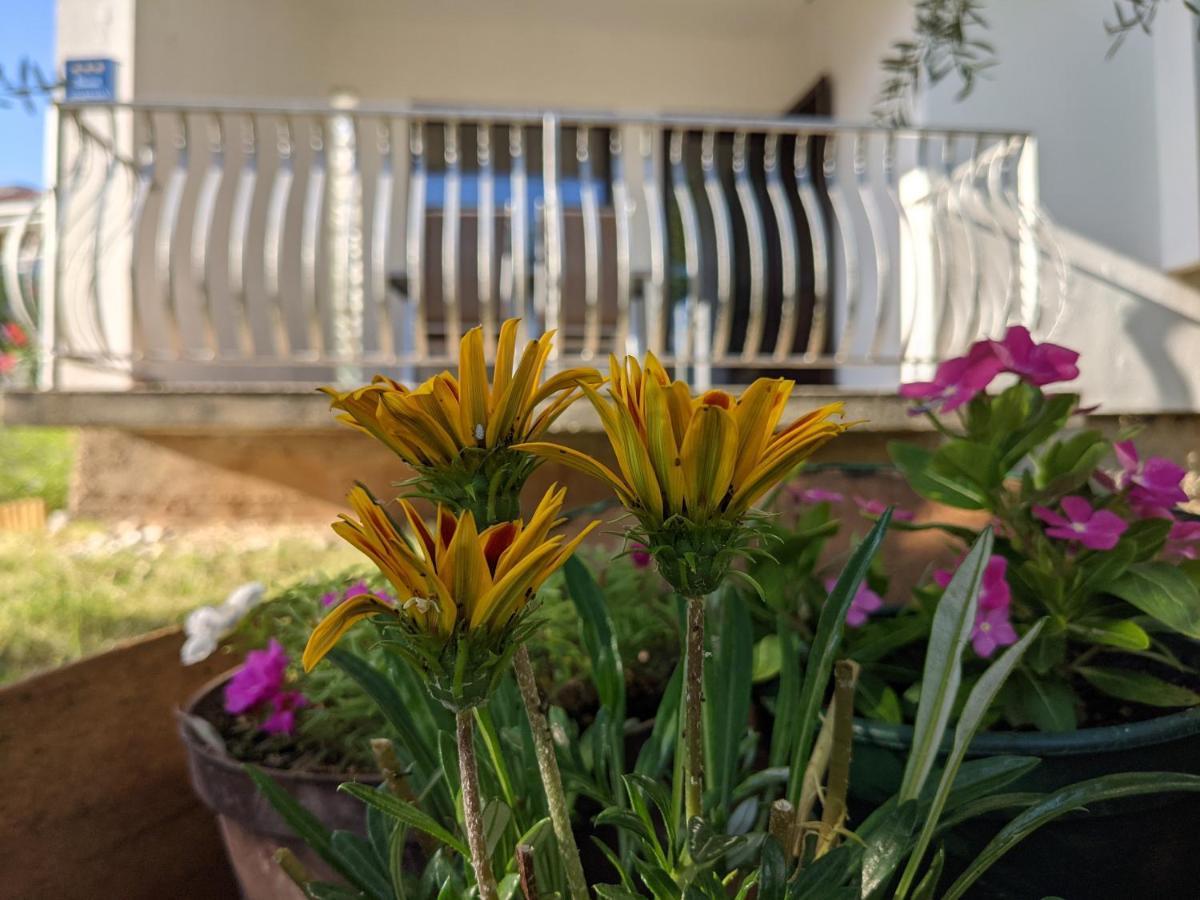 באסקה Apartment Ika מראה חיצוני תמונה